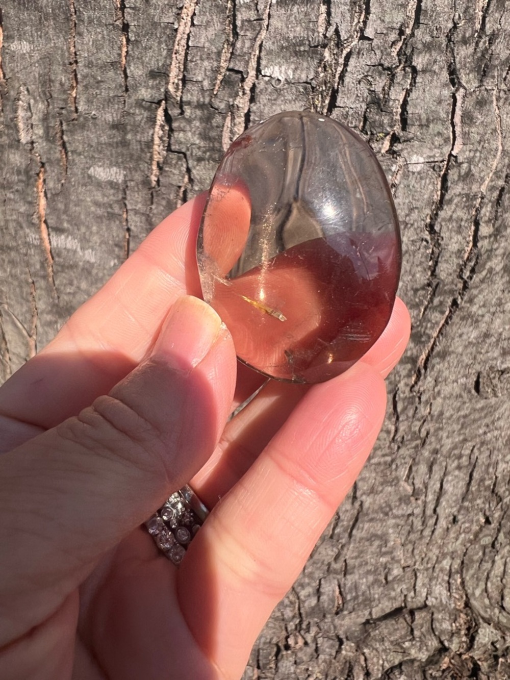 Smoky (6) Quartz Palmstone | Crystal